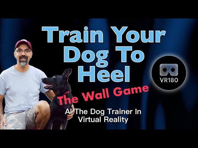 How to Train your Dog to Heel, In VR180! - The Wall Game