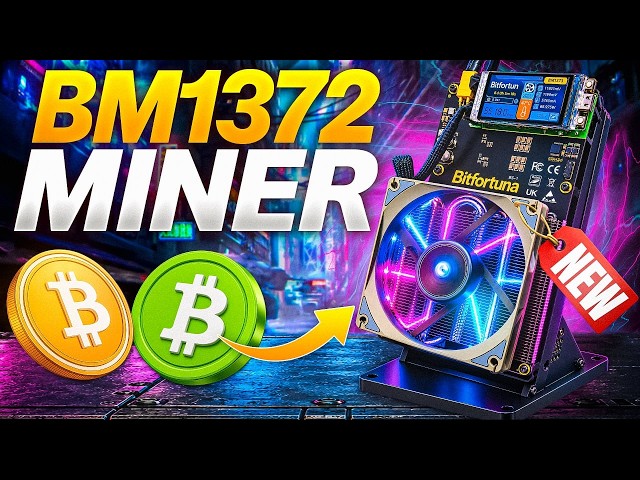 Just FOUND a CRAZY New Dual Home SOLO Miner!