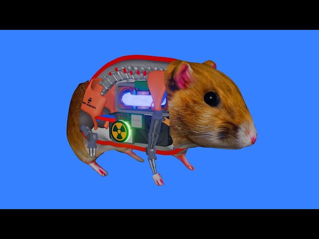 How a Hamster works