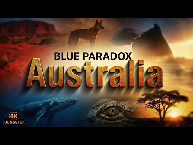 Australia Is NOT What You Think It Is   Wildlife Documentary