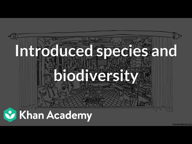 Introduced species and biodiversity | Grade 12 | Biology | NCERT | Khan Academy (IN accent)