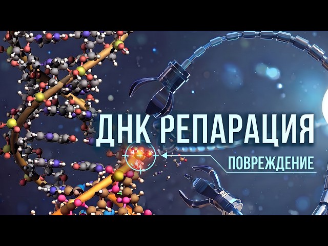 100,000 DNA Breaks a Day in JUST ONE Cell! DNA Repair