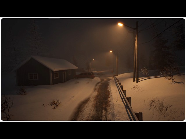 I've Never Slept This Soundly: Spatial Blizzard on a Dark Nordic Road at Night | Binaural Windy ASMR