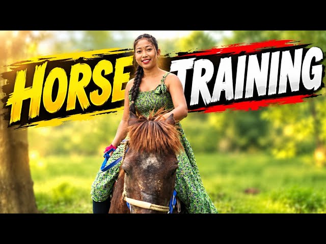 Why Proper Horse Training Is So Important! 🐴🔥