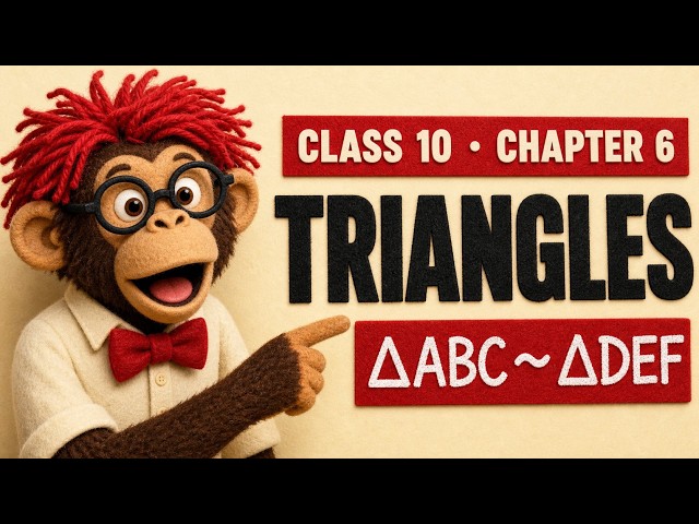Triangles Class 10 | Chapter 6 Complete | Thinkiki