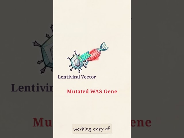 How Waskyra Rewrites The Immune System