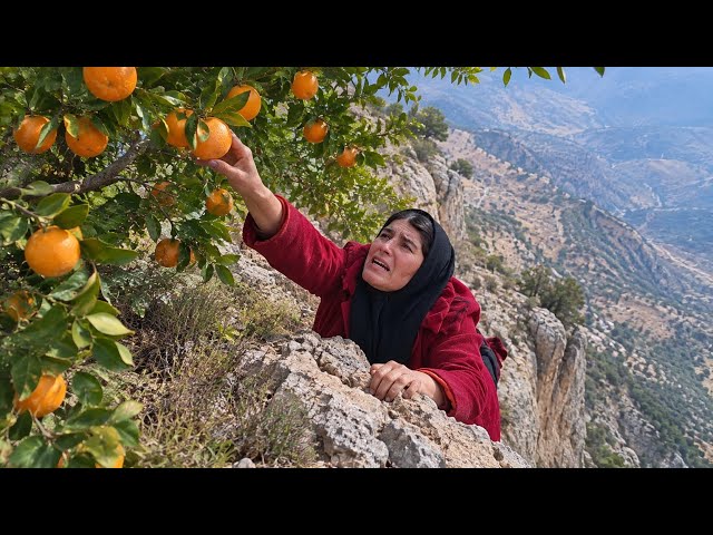 "A woman who sought refuge in the mountains from her husband for peace"