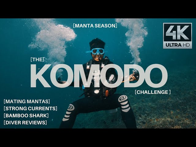 KOMODO DIVING | Manta Mania | Crazy Currents | Indonesia