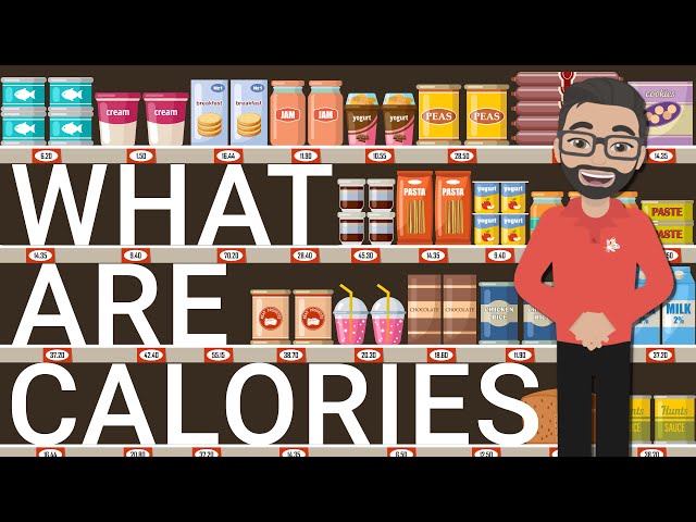 What Are Calories and How Do They Work?
