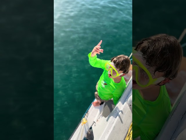 Haydar jumps from a yatch