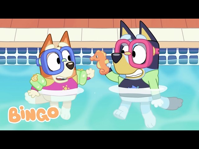 The Pool 🤿🧡 | 1 hour of family fun! | Bingo - Official Channel