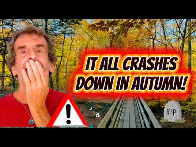 Autumn Psychic Forecast: Trump’s Downfall? Global Teardown + 11 TOP Predictions