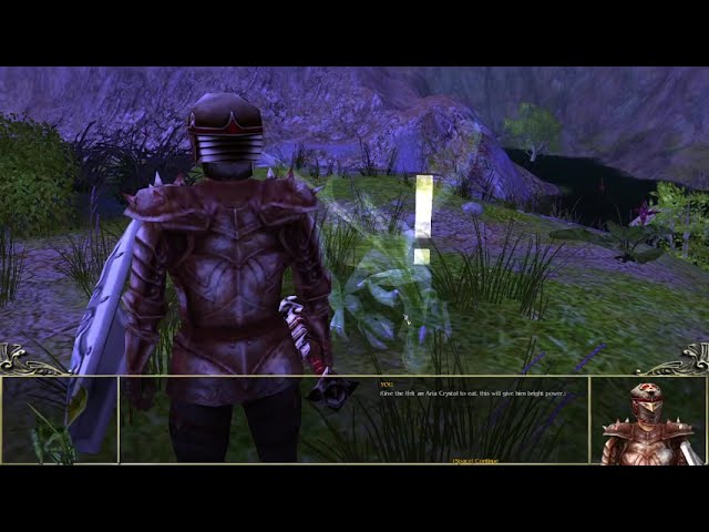 Spellforce Training my own Irith Dragon to help me and stuffs