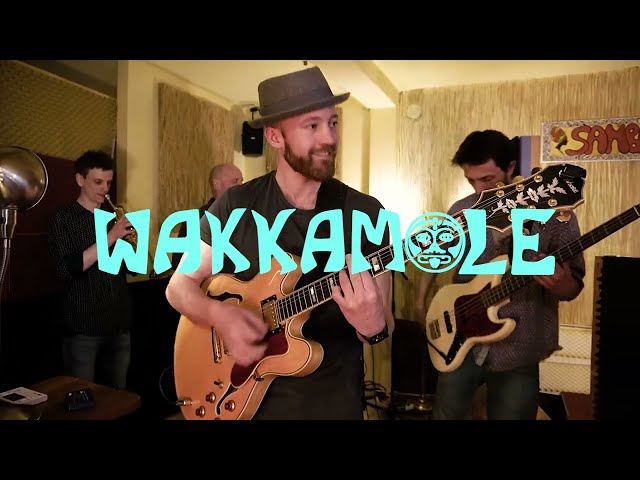 Wakkamole - Que Buena Es La Vida