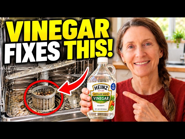 9 Things Dishwasher Repairmen Don't Want You to Know About Vinegar #3 Clears Every Clog