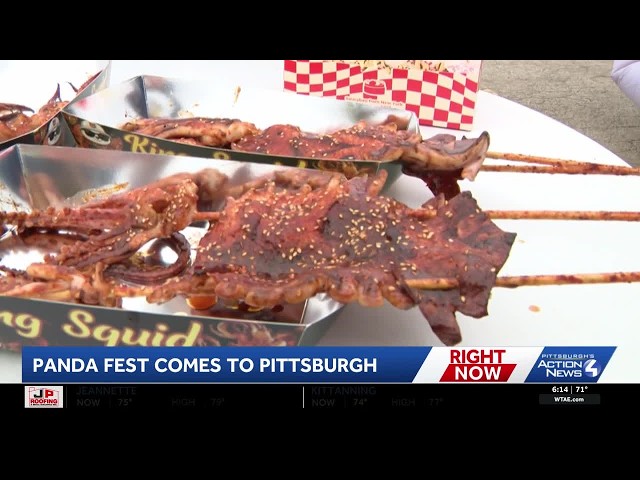 Panda Fest comes to Pittsburgh during nationwide tour