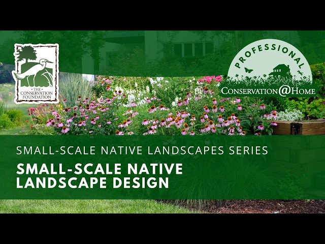 Small-Scale Native Landscape Design  |  Conservation@Home Professional Training