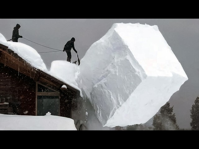 Satisfying Winter Moments Caught on Camera