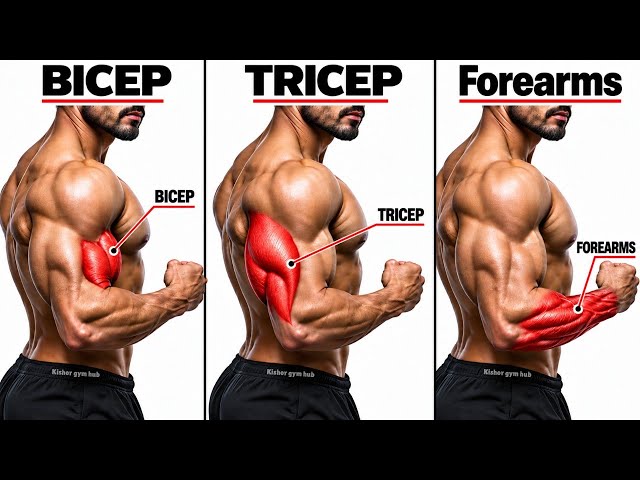 🔥 6 Best Arm Exercises for Bigger Biceps, Triceps & Forearms