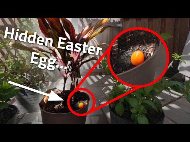 Who Ever Loses The Easter Egg Hunt Challenge Gets ICE Thrown At Them...