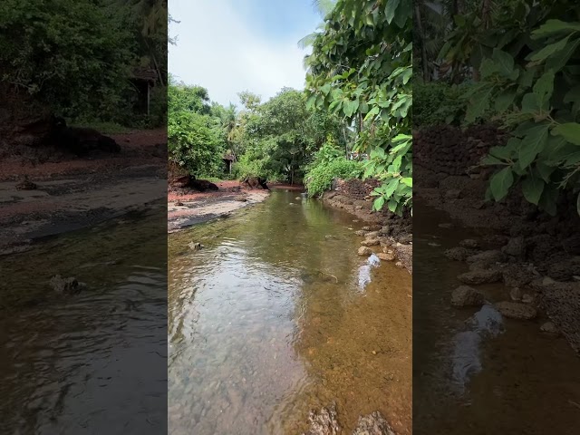 Water stream 🍃