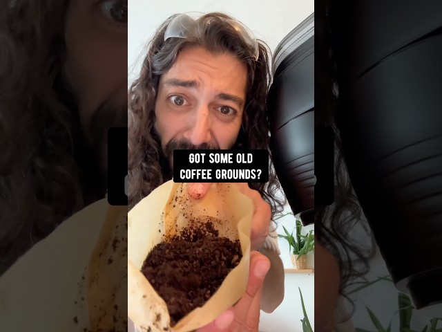 Homemade liquid plant food | creative explained