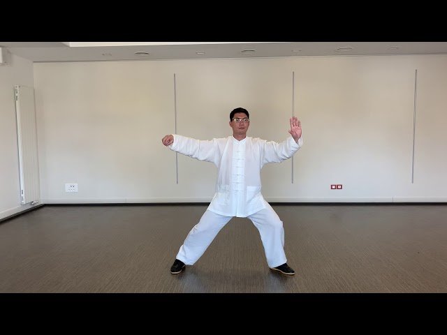 Chen style 74-form (Lao Jia Li Yu), movements 1-15