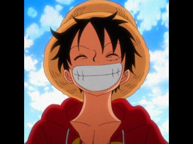 Luffy and Zoro Live Stream