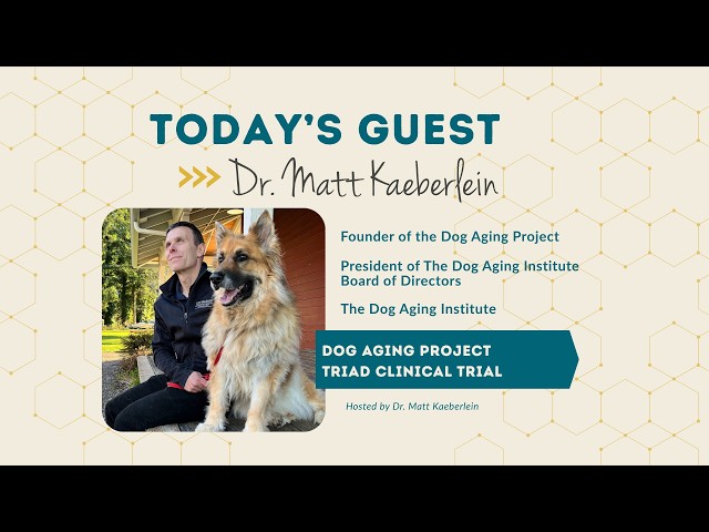 Can Rapamycin Improve Your Dog's Life? The TRIAD Clinical Trial Explained