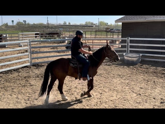 Dasher day 30. FIRST RIDE 