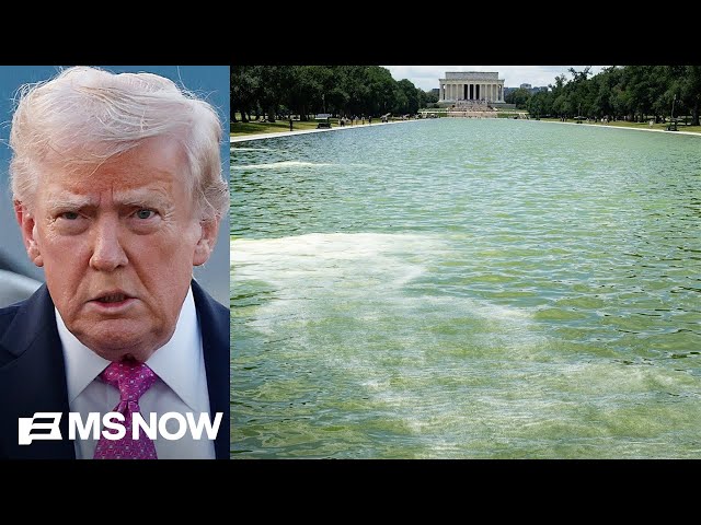 'Donald Trump is the biggest liar in the history of American politics': Rep. Garcia