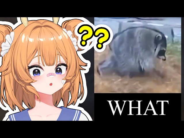 WHAT IS THIS | More Parz Reaction