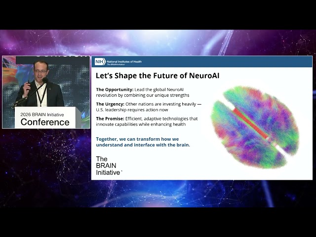 BRAIN NeuroAI Innovation Domain | Closing the Loop Between Natural and Artificial Intelligence