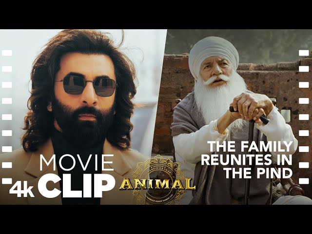 ANIMAL Movie Scene: The Family Reunites in the Pind🤛🤜 | Ranbir K, Sandeep V, Bhushan K