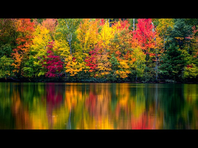 "Golden Autumn Pond" Beautiful Relaxing Music, Peaceful Soothing Instrumental Music by Tim Janis