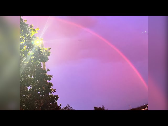 💧🔥🌬🌱: A Business Level 🆙 : Daily SUNRISE 🌞 Reading 🧘🏾‍♀️✨