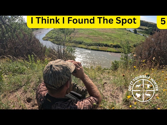Dream Season ..... Found The Spot