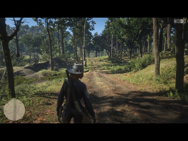 Red Dead Online: Misje Krwawej Forsy • Jeb Phelps (3 z 3) | PS5 4K HDR 🇵🇱