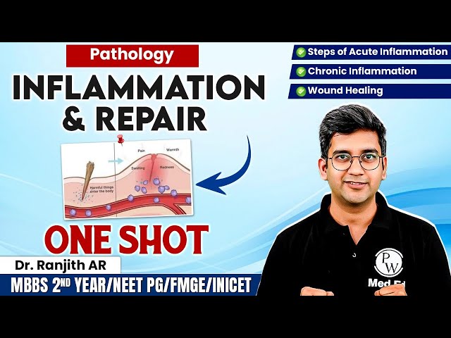 Pathology | Inflammation (Acute, Chronic & Wound Healing)ONE SHOT| MBBS 2nd Year/NEET PG/FMGE/INICET