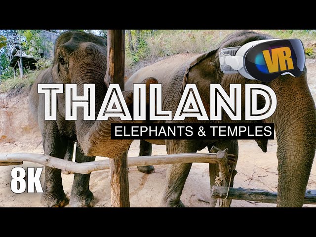 THAILAND in 3D: Elephants & Temples [8K VR180]
