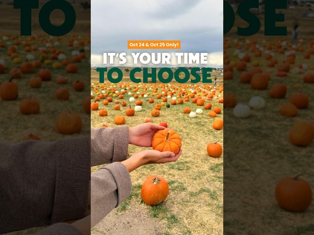 IT'S TIME TO CHOOSE!