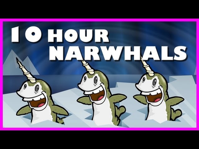 Narwhals | 10 Hours