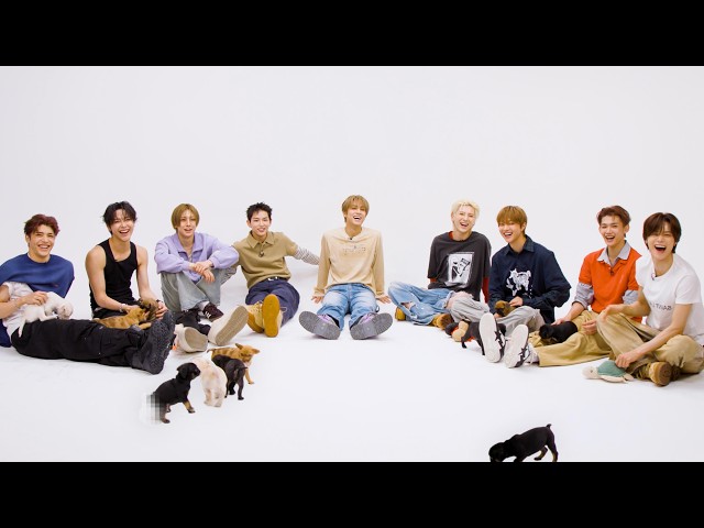 &TEAM: The Puppy Interview