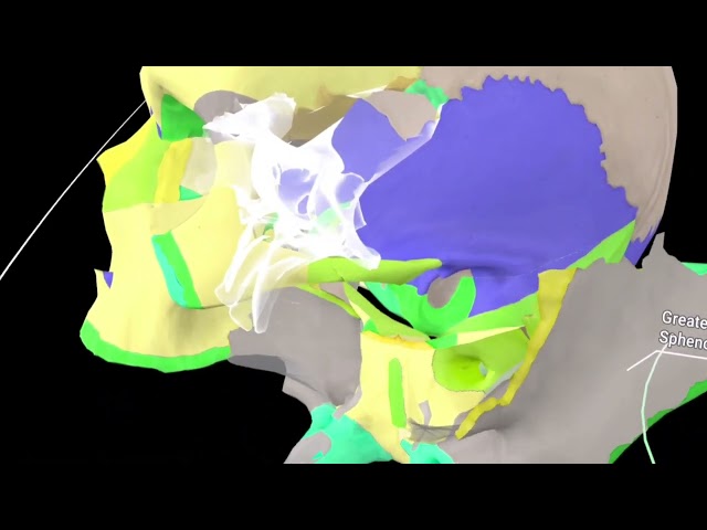 Skull Bones - Video 1