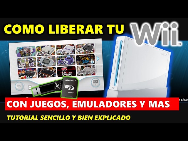 HOW TO MOD the Wii in 2026? 🎮 | Play via USB, Emulators and MORE