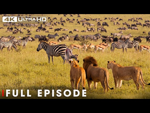 African Savannah | From Deserts to Grasslands | FULL EPISODE | Wildlife Documentary