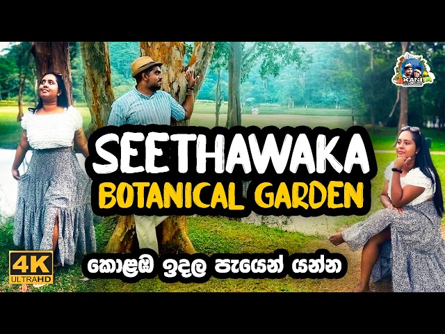 Seethawaka botanical garden | සීතාවක උද්භිද උද්‍යානය | avissawella travel places #srilanka 