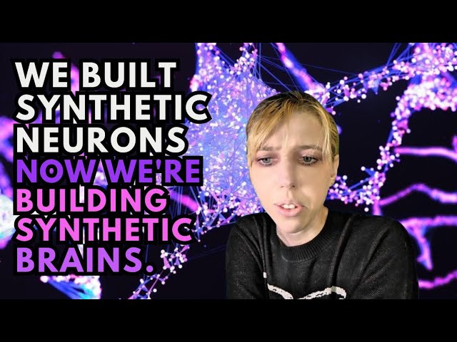We Build Synthetic Neurons, Now We're Building Synthetic Brains 