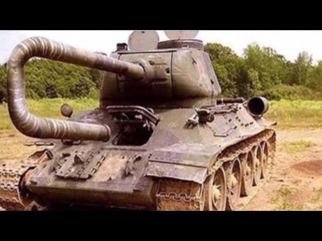 top 5 tank