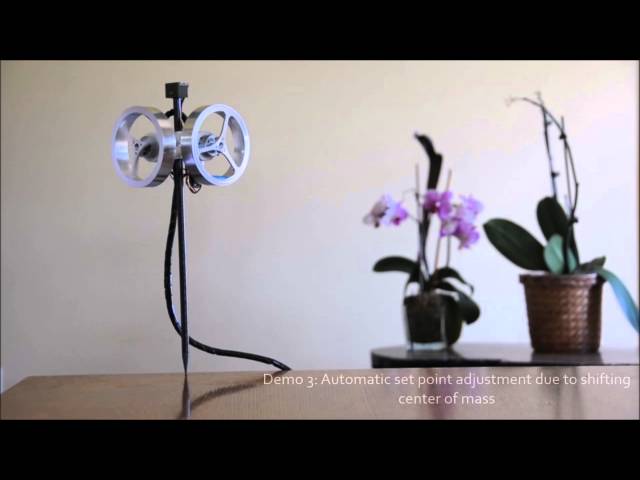 Self Balancing Stick - Dual Axis Reaction Wheel Inverted Pendulum